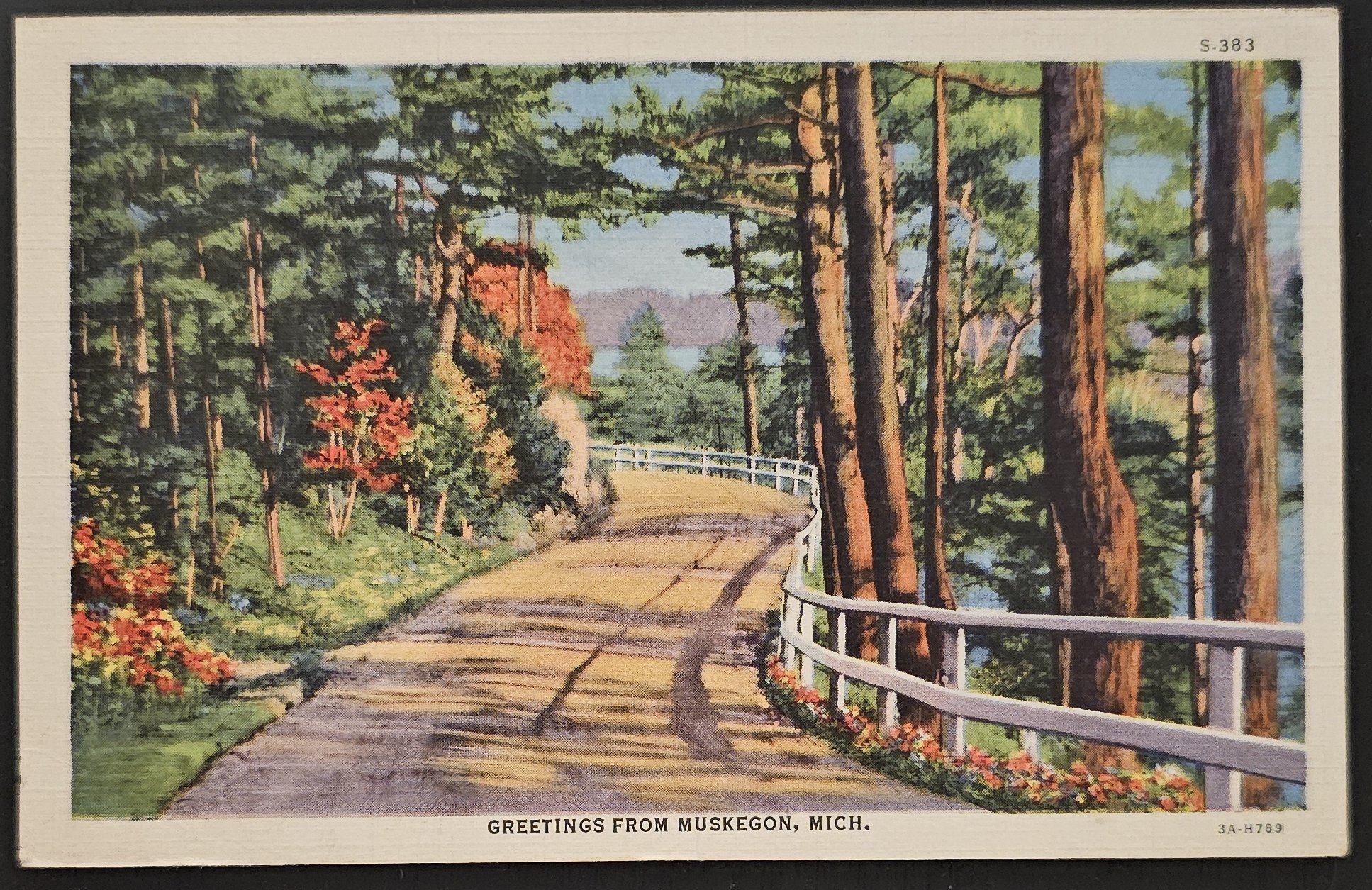 (image for) postcard USA - MI - Michigan #0025